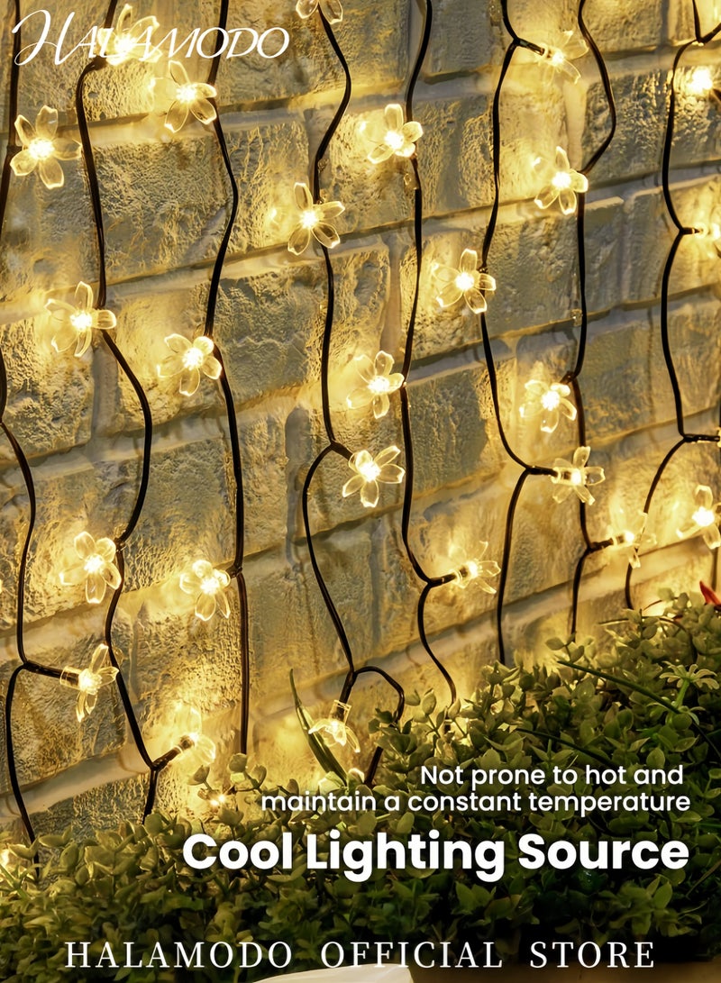 HALAMODO Waterproof Cherry Blossom Corded Solar String Lights Yellow/Black 7meter  - Image 5