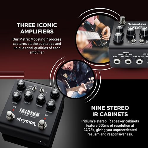 Strymon Iridium Amp & IR Cab Pedal - Image 4