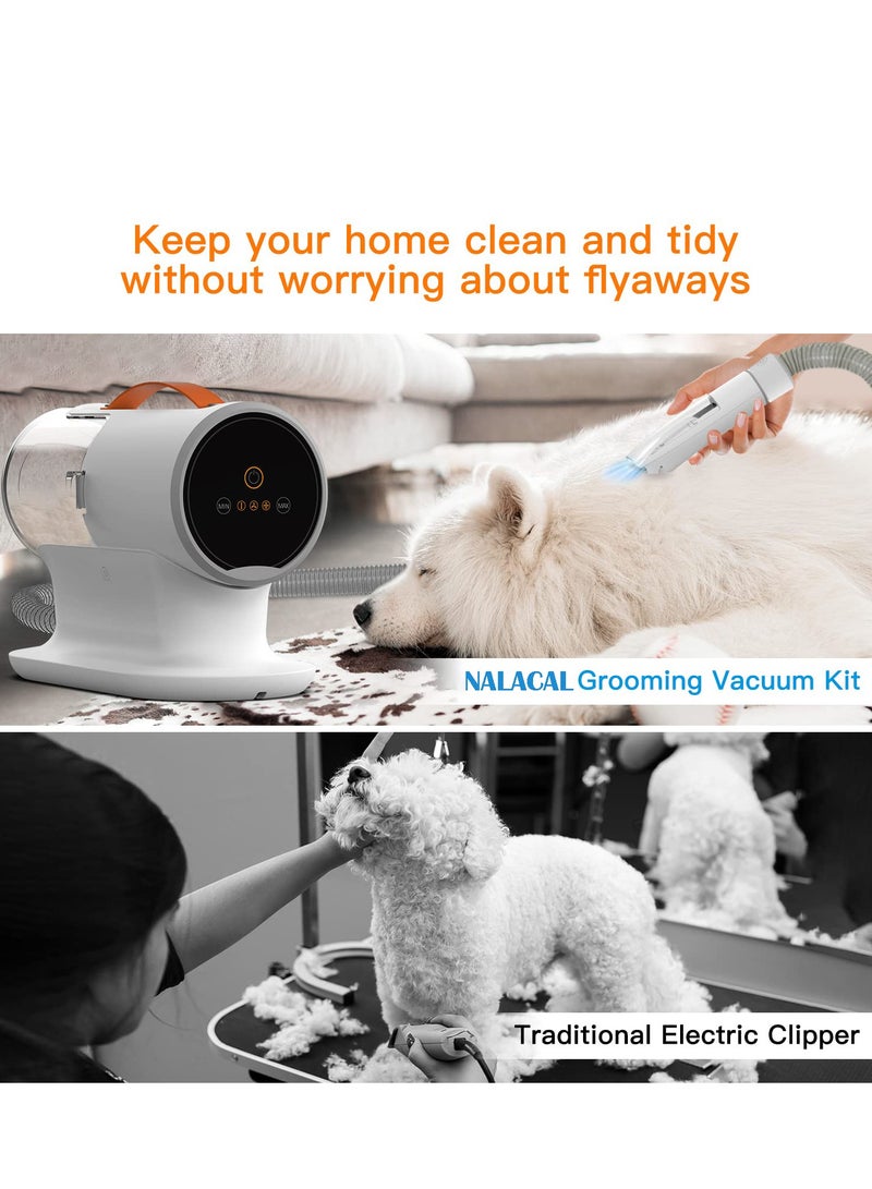 Zikra Hair Straightening Brush, 30s Quick Heating Hair Straightening Brushes Anti Scald Flat Iron and Hair Brush 2-in-1 Hair Styling Tool with 3 Temp Settings (160℃-200℃) for Home, Travel and Salon (Black) - Image 5