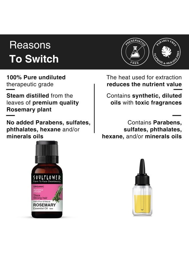 Soulflower Rosemary Essential Oil for Hair Growth, Hair Fall Control, Hair Nourishment & Strengthens, Skin Care| Clinically Proven and Ecocert Certified Organic 100% Pure & Natural Undiluted, 10ml - Image 4