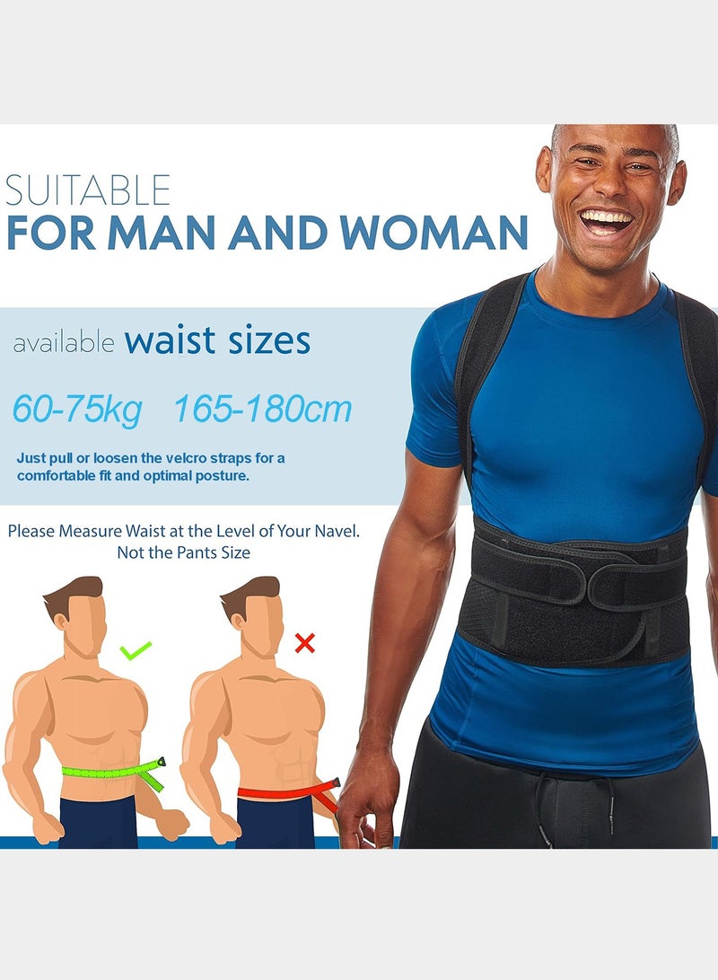 ALPNEGINE Back Brace, Posture Corrector for Men and Women, Ergonomical 3 in 1 Adjustable Posture Back Brace for Upper and Lower Back Pain Relief - Muscle Memory Support Straightener  (Size L) - Image 5