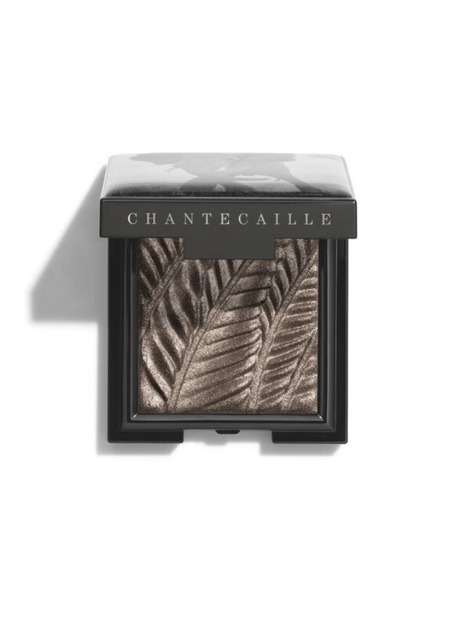 تشانتيكايل ظلال عيون شانتي كاي اللامعة بلون الفيل، 2.5 غرام - Image 2
