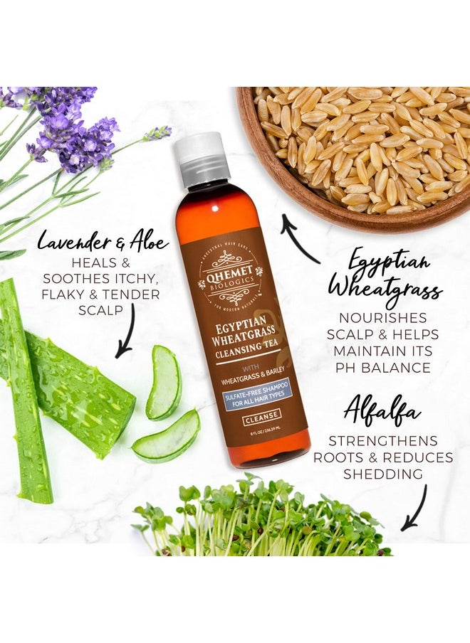 QHEMET BIOLOGICS Egyptian Wheatgrass Cleansing Tea Sulfatefree Shampoo For All Hair Types Removes Buildup Hydratres & Alleviates Itchy Dry Scalp Good For Damaged Hair & Shedding (8 Oz)  - Image 3