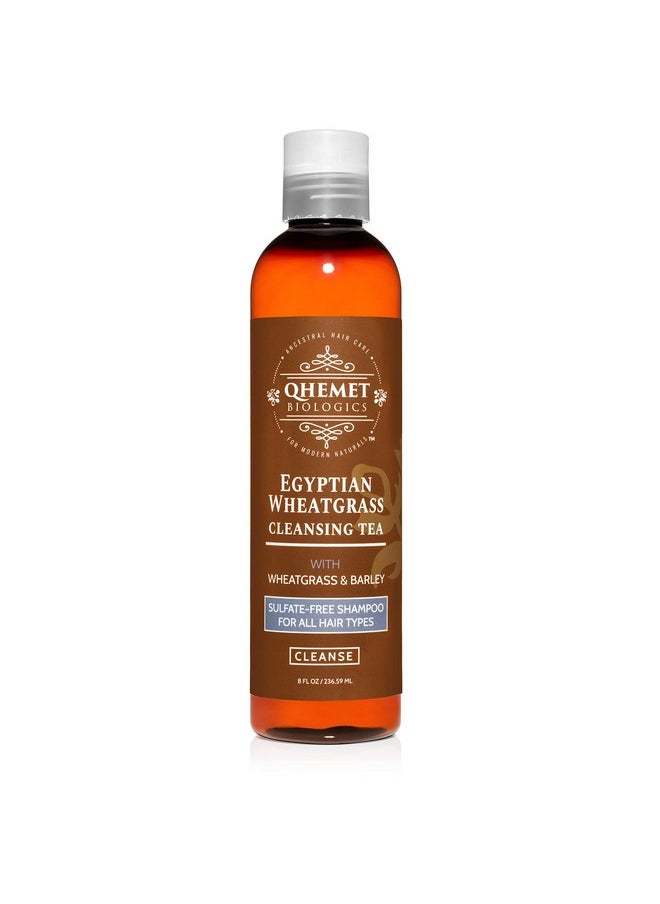 QHEMET BIOLOGICS Egyptian Wheatgrass Cleansing Tea Sulfatefree Shampoo For All Hair Types Removes Buildup Hydratres & Alleviates Itchy Dry Scalp Good For Damaged Hair & Shedding (8 Oz)  - Image 2