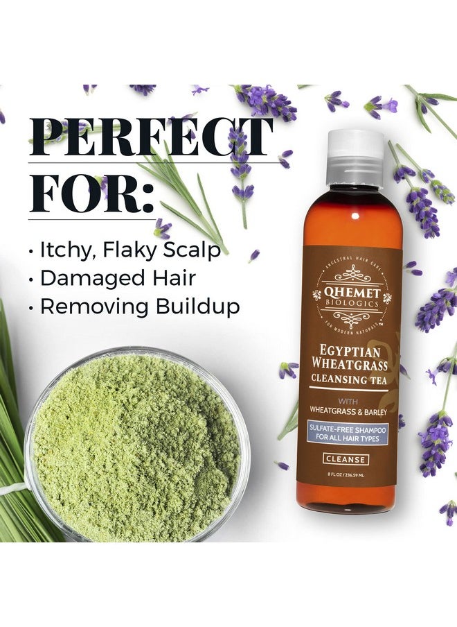 QHEMET BIOLOGICS Egyptian Wheatgrass Cleansing Tea Sulfatefree Shampoo For All Hair Types Removes Buildup Hydratres & Alleviates Itchy Dry Scalp Good For Damaged Hair & Shedding (8 Oz)  - Image 5