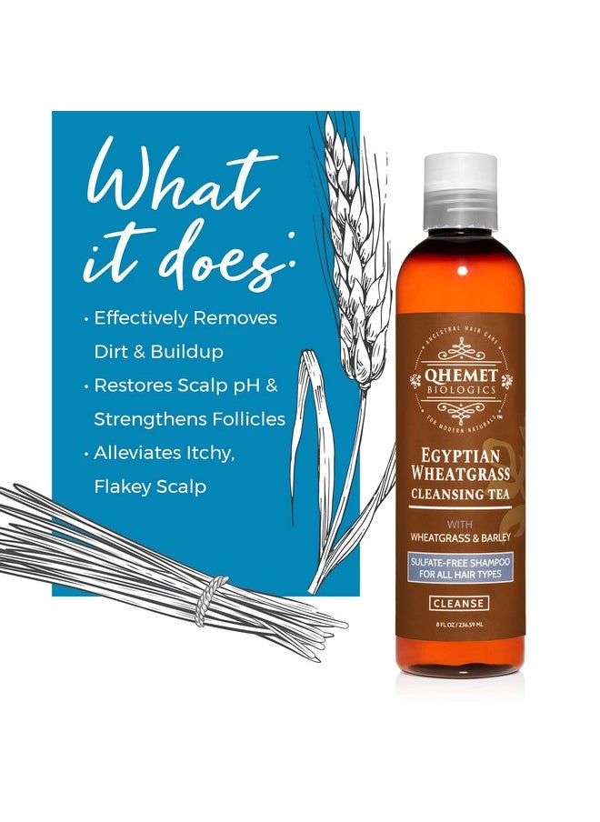QHEMET BIOLOGICS Egyptian Wheatgrass Cleansing Tea Sulfatefree Shampoo For All Hair Types Removes Buildup Hydratres & Alleviates Itchy Dry Scalp Good For Damaged Hair & Shedding (8 Oz)  - Image 4