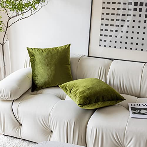 Demetex 18x18 Pillow Covers Green Soft Velvet Throw Pillows for Couch Square Decorative Summer Accent Pillow Covers for Sofa Bench Chair, Set of 2, 18 x 18 inch, Green - Image 4