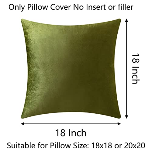 Demetex 18x18 Pillow Covers Green Soft Velvet Throw Pillows for Couch Square Decorative Summer Accent Pillow Covers for Sofa Bench Chair, Set of 2, 18 x 18 inch, Green - Image 2