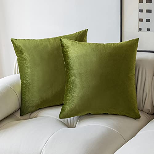 Demetex 18x18 Pillow Covers Green Soft Velvet Throw Pillows for Couch Square Decorative Summer Accent Pillow Covers for Sofa Bench Chair, Set of 2, 18 x 18 inch, Green - Image 1