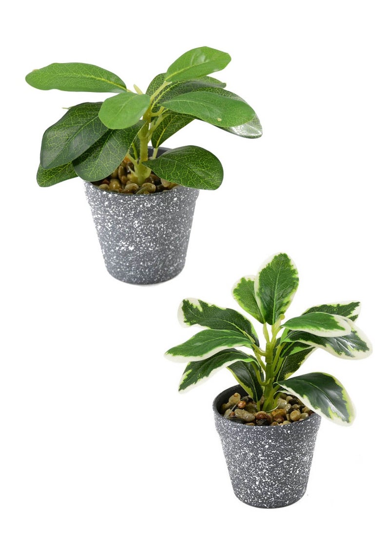 co arma Artificial plant in pot of 2 pieces, multicolour  - Image 1