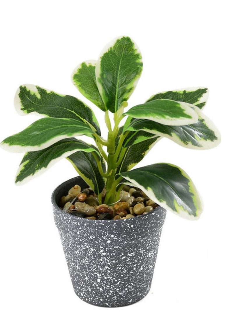 co arma Artificial plant in pot of 2 pieces, multicolour  - Image 2