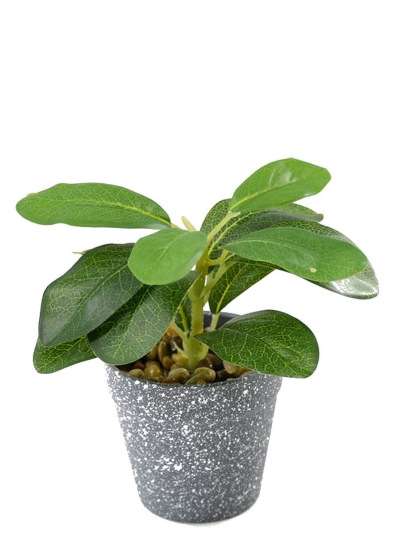 co arma Artificial plant in pot of 2 pieces, multicolour  - Image 3