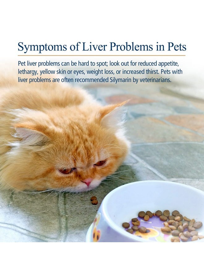 Rx Vitamins Hepato Support For Dogs & Cats  Milk Thistle Supplement For Pets  100Mg Milk Thistle For Healthy Liver Function  Silymarin Capsules For Pets  180 Ct.  - Image 3