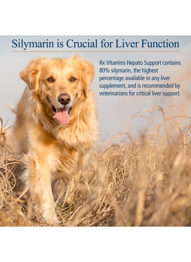 Rx Vitamins Hepato Support For Dogs & Cats  Milk Thistle Supplement For Pets  100Mg Milk Thistle For Healthy Liver Function  Silymarin Capsules For Pets  180 Ct.  - Image 4