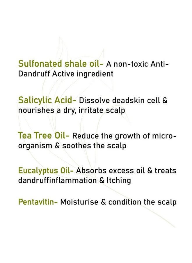 Keya Seth Aromatherapy Keya Seth Aromatherapy Scalp Care Dandruff Removal Shampoo With Salicylic Acid Tea Tree & Eucalyptus Oil Reduces Dandruff & Flakes Itchy Scalp 200Ml  - Image 5