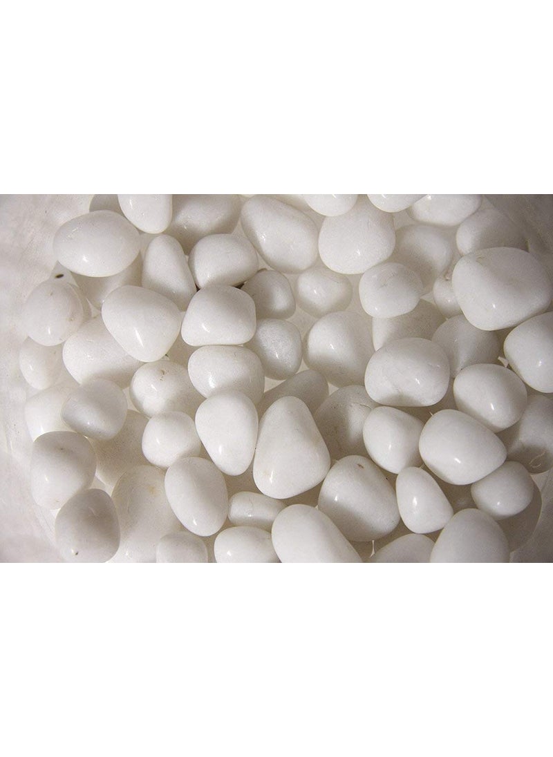 OhhSome OhhSome 5Kg Pebbles Glossy Home Decorative Vase Fillers Stone White Pebbles for Bottle All Purpose Pack  - Image 1