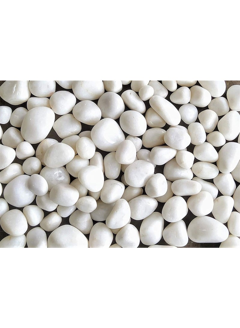 OhhSome OhhSome 5Kg Pebbles Glossy Home Decorative Vase Fillers Stone White Pebbles for Bottle All Purpose Pack  - Image 2
