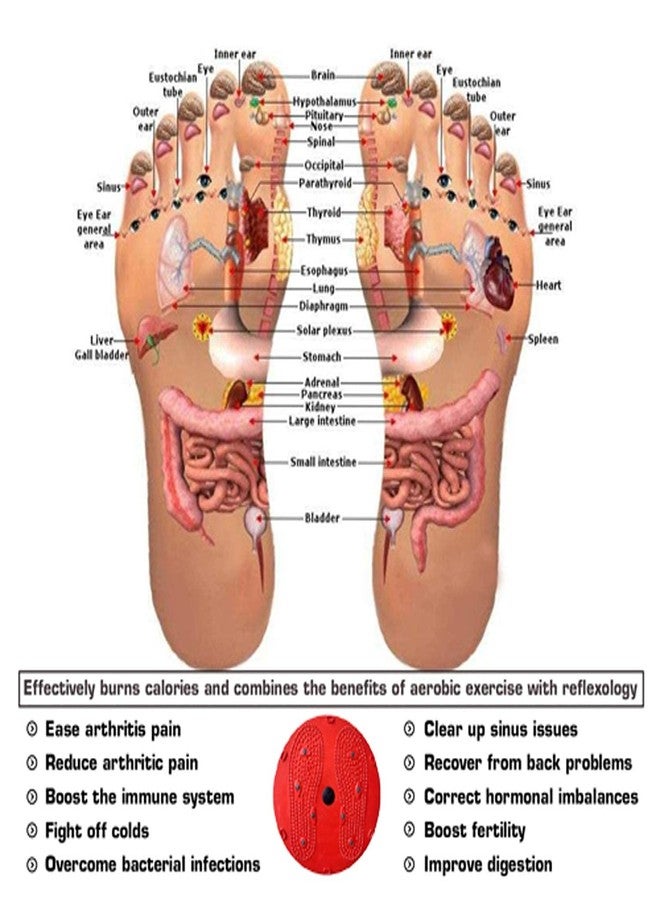ALN Tummy Twister (RED) - Image 3