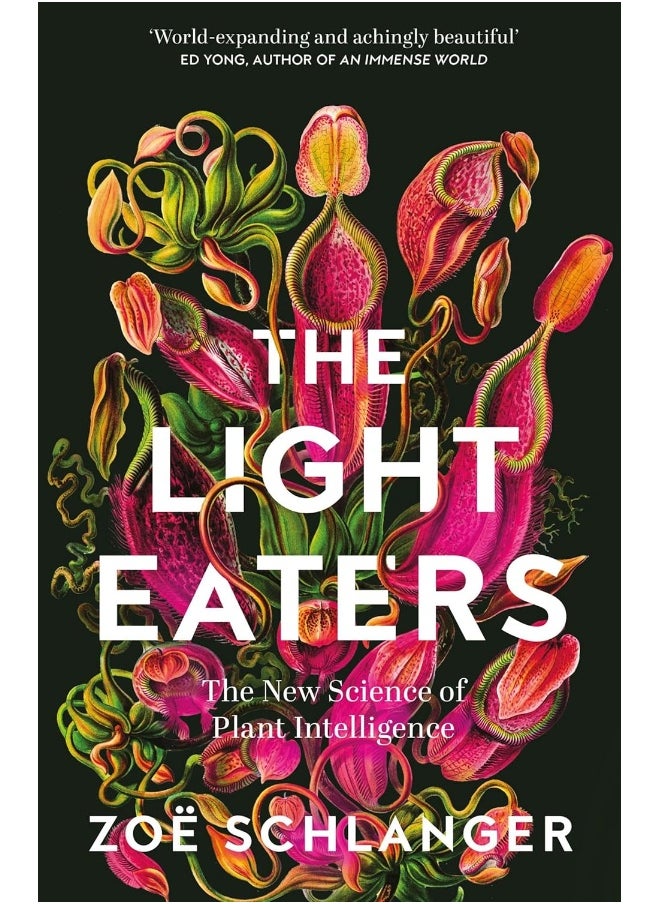 null - The Light Eaters: The New Science of Plant Intelligence - Image 1