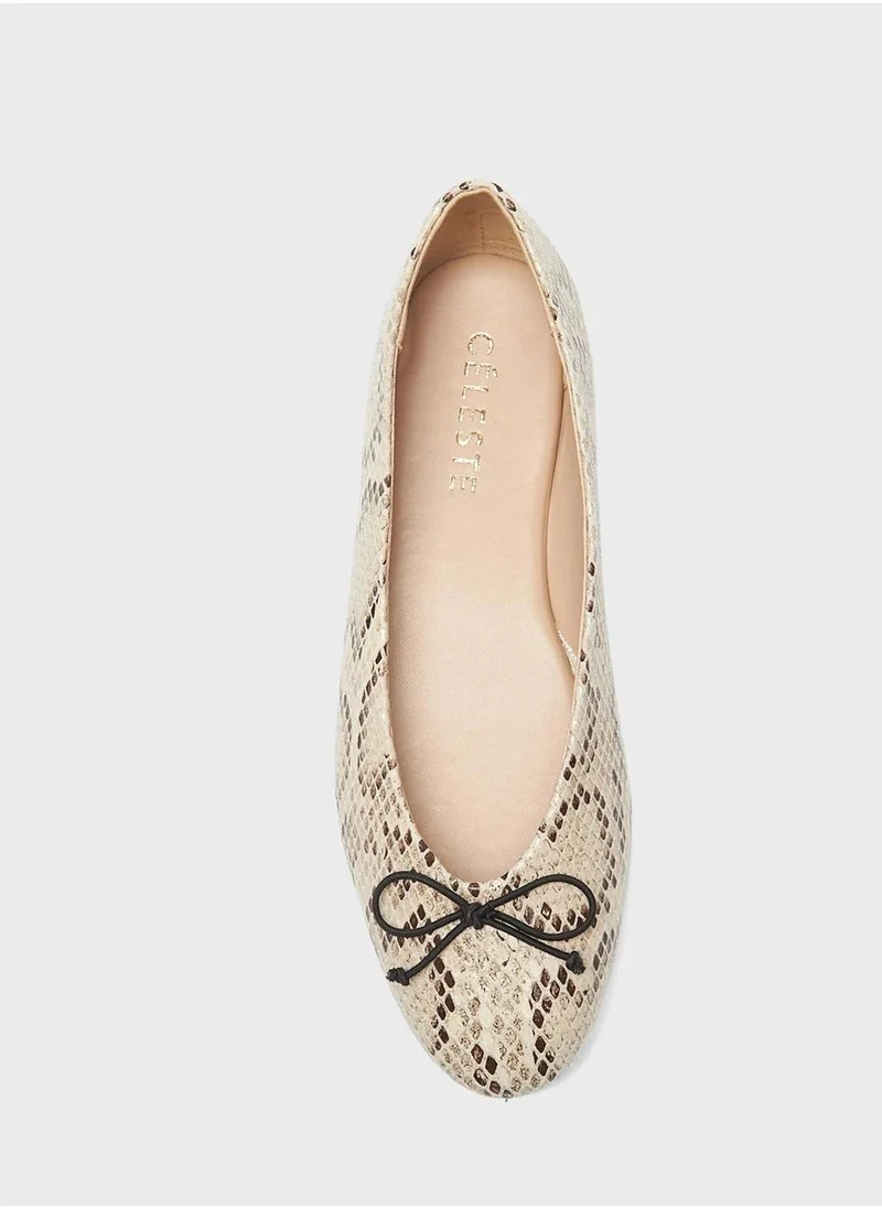 Celeste Pointed Toe Ballerinas