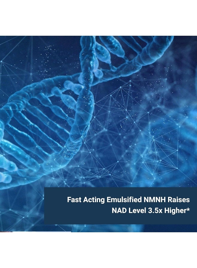 Naturalis NMNH Dihydronicotinamide Mononucleotide 300mg Softgels - Image 4