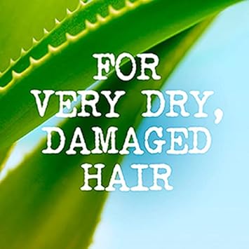 Maui Moisture Aloe Vera Shea Butter Repairing Travel Size Shampoo For Damaged Hair 100Ml - Image 4