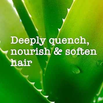 Maui Moisture Aloe Vera Shea Butter Repairing Travel Size Shampoo For Damaged Hair 100Ml - Image 2