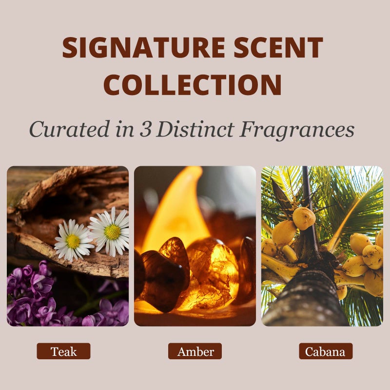 CRATIK معطر هواء السيارة - معطر هواء خشبي - مزيل روائح السيارة لمشبك الشمس - مجموعة متنوعة من إعادة التعبئة، موزع رائحة السيارة للكابينة، الشاحنة وSUV - عبوة من 3 (تيك-كهرمان-كابانا)-مشبك متضمن - Image 3