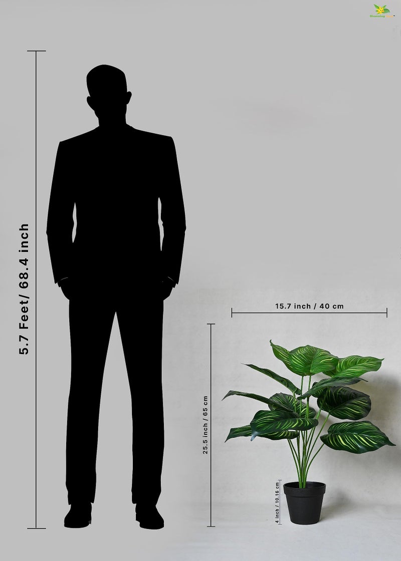 Blooming Floret Polyester Artificial Plant Calathea Orbifolia Plant For Home Decor/Office Decor/Gifting|65 Cm Short Ornamental Plant With Basic Black Pot|12 Leaves|Natural Looking Indoor Plant - Image 3