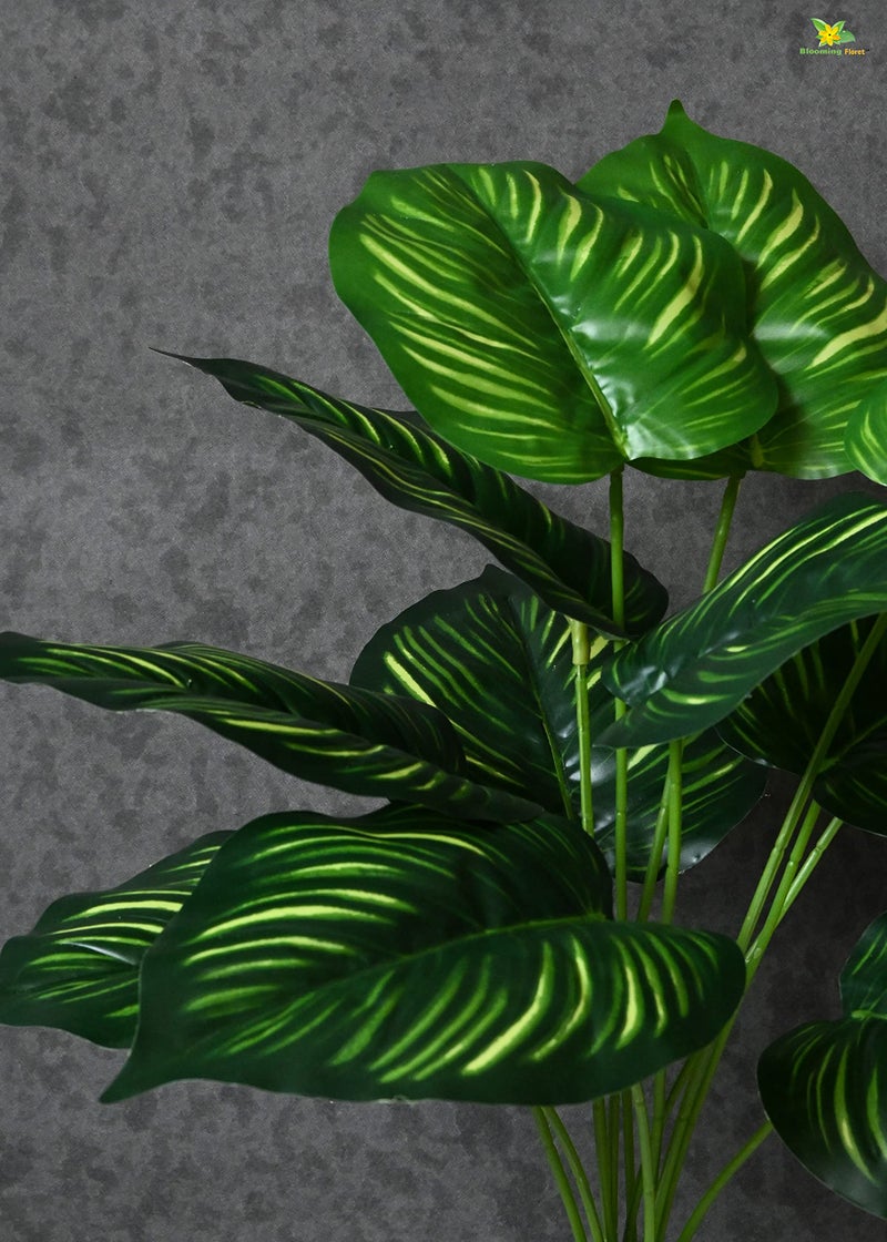 Blooming Floret Polyester Artificial Plant Calathea Orbifolia Plant For Home Decor/Office Decor/Gifting|65 Cm Short Ornamental Plant With Basic Black Pot|12 Leaves|Natural Looking Indoor Plant - Image 2
