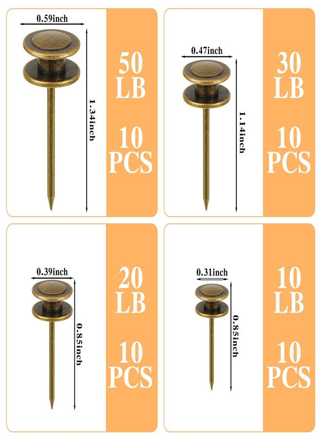 Ferraycle فيرايكل 40 قطعة مسامير لتعليق الصور برأس مزدوج 4 أحجام دبابيس للإيجار صديقة للديكور دبابيس دفع ثقيلة للمساحات الجافة إطار الفن، 10/20/30/50 رطل (برونزي) - Image 2