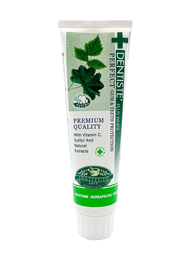 DENTISTE Nighttime Toothpaste Tube 100 Gram - Image 1