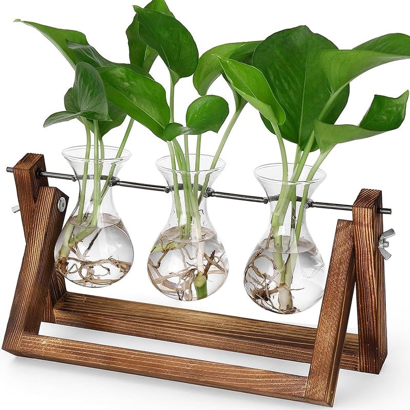 YIBOT Propagation Stations,Plant Terrarium with Retro Wooden Stand, Unique Gardening Birthday Gifts for Women Plant Lovers, Hydroponics Plants Home Office Garden Decor - 3 Bulb Glass Vases - Image 1