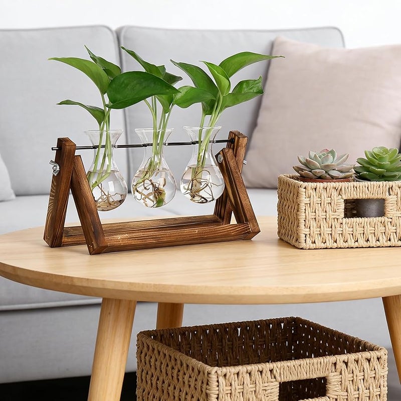 YIBOT Propagation Stations,Plant Terrarium with Retro Wooden Stand, Unique Gardening Birthday Gifts for Women Plant Lovers, Hydroponics Plants Home Office Garden Decor - 3 Bulb Glass Vases - Image 4