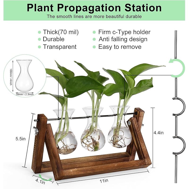 YIBOT Propagation Stations,Plant Terrarium with Retro Wooden Stand, Unique Gardening Birthday Gifts for Women Plant Lovers, Hydroponics Plants Home Office Garden Decor - 3 Bulb Glass Vases - Image 3