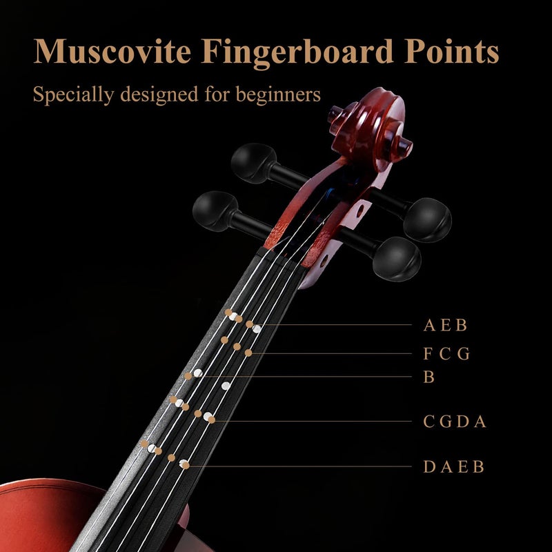 Eastar Violin 4/4 Full Size for Adults, Violin Set for Beginners with Hard Case, Rosin, Shoulder Rest, Bow, and Extra Strings (Imprinted Finger Guide on Fingerboard), EVA-2 - Image 2