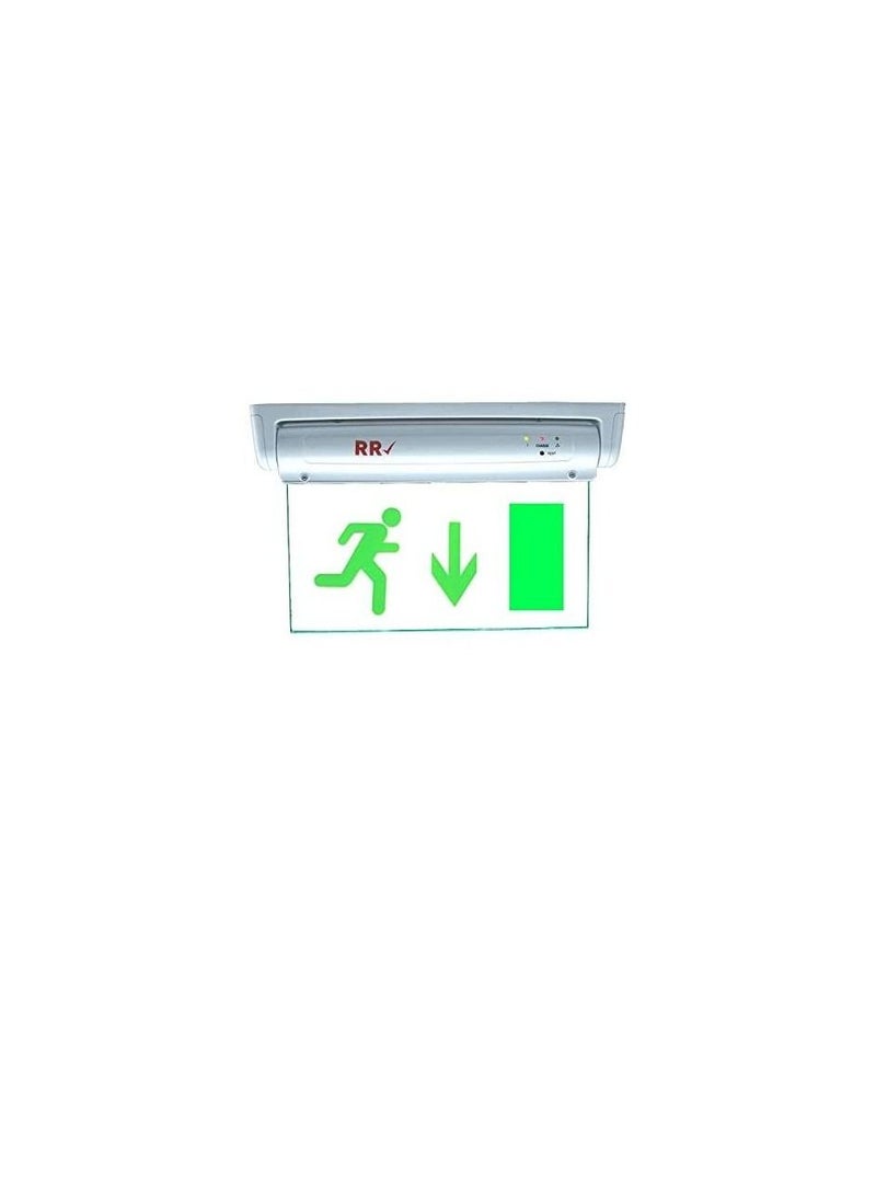 RR Exit Down Green Sign in Clear Light Board 230V with Battery Backup - RR - Image 3