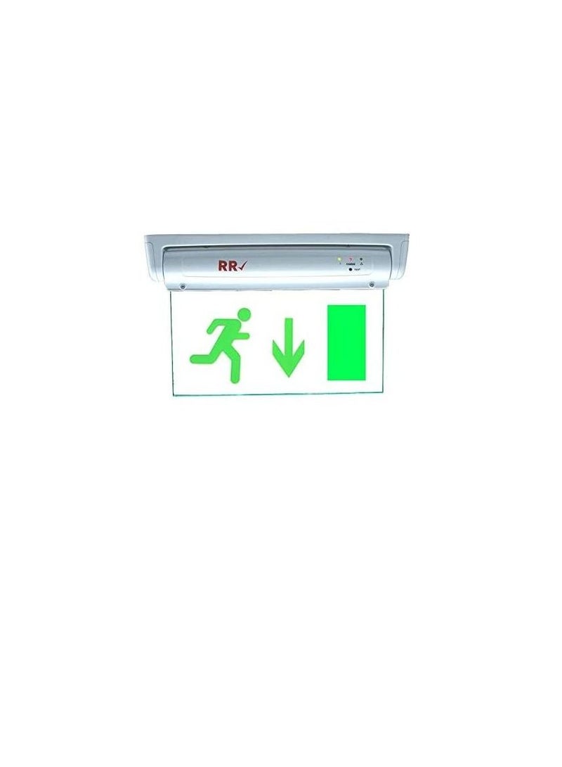 RR Exit Down Green Sign in Clear Light Board 230V with Battery Backup - RR - Image 2