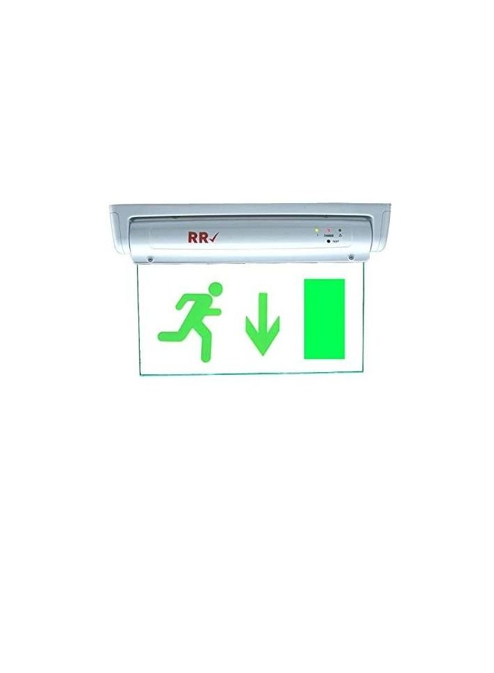 RR Exit Down Green Sign in Clear Light Board 230V with Battery Backup - RR - Image 1