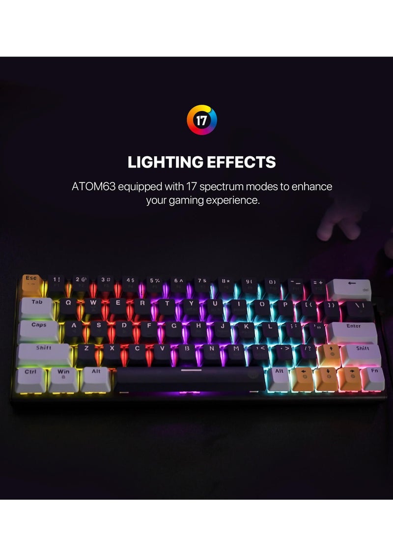 فانتيك ATOM63 MK874V2 لوحة مفاتيح ميكانيكية للألعاب  60% - مفاتيح زرقاء قابلة للتبديل السريع - 17 وضع إضاءة RGB - كابل Type-C قابل للإزالة - غطاء مفاتيح 63 PBT عربي/إنجليزي | أزرق سماوي - Image 2