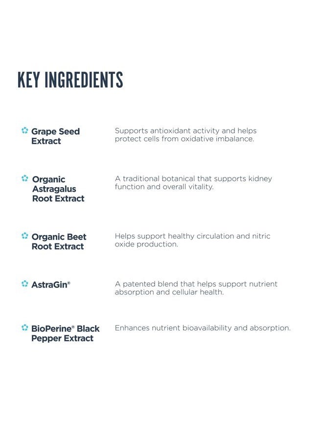 revive ريفايف كيدني RX لوظيفة الكلى - Image 3