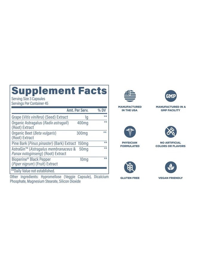 revive ريفايف كيدني RX لوظيفة الكلى - Image 5