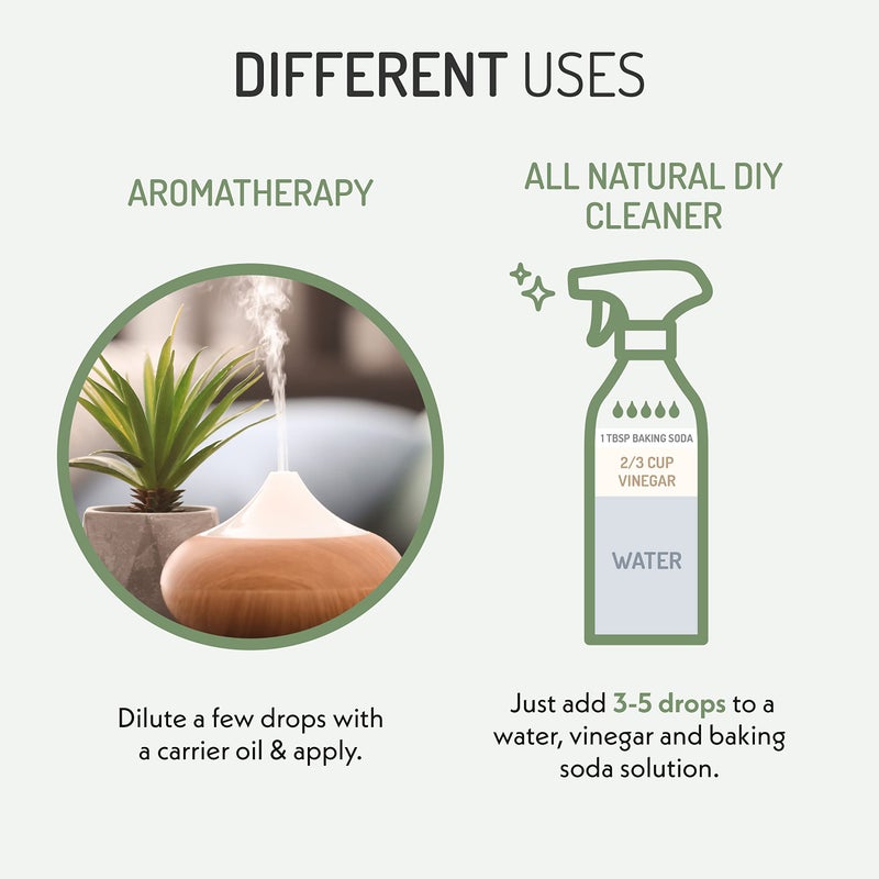 Eve Hansen Organic Eucalyptus Essential Oil 4oz | Topical & Aromatherapy | Sauna Essential Oil - Image 4