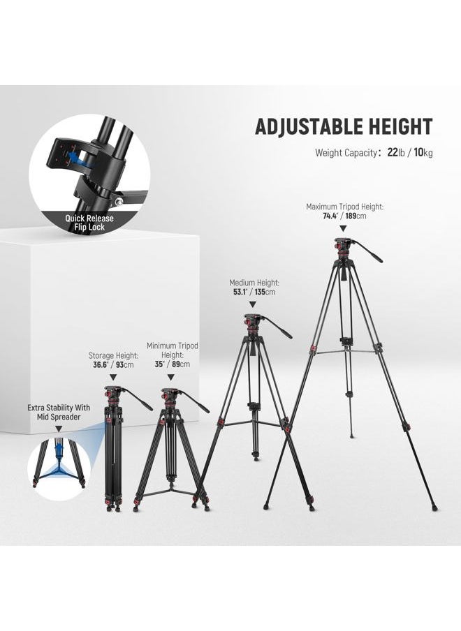 74" Video Tripod with Adjustable Damping Fluid Head, Metal Heavy Duty Dual-Mode QR Plate Compatible with DJI RS Gimbals, Flexible 360° Pan&+90°/-75° Tilt, Max Load 22lb/10kg, TP75