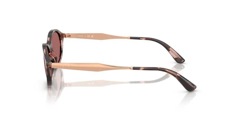 Vogue Eyewear 0Vo5625S Oval Sunglasses