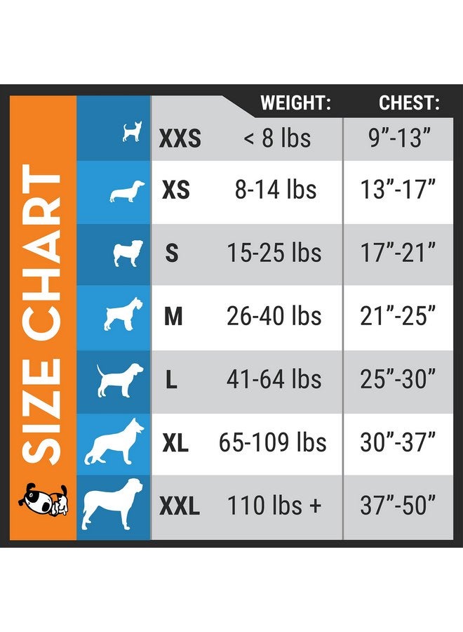 ThunderShirt for Dogs, X Small, Platinum Sport - Dog Anxiety Relief Calming Vest - Image 2