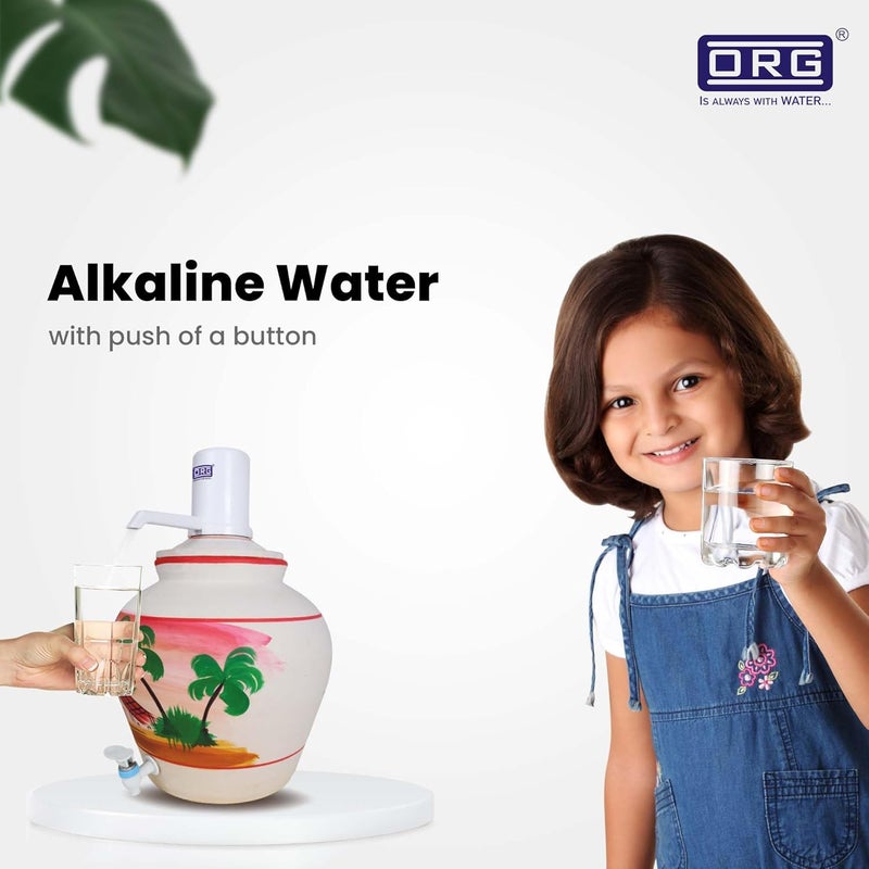 O R G ORG Engitech IONPOT Antioxidant Alkaline Water Reduces ORP Boosts Hydrogen Replaceable BioCeramic Cartridge Long Battery Life Low Maintenance Bottom Loading  - Image 3