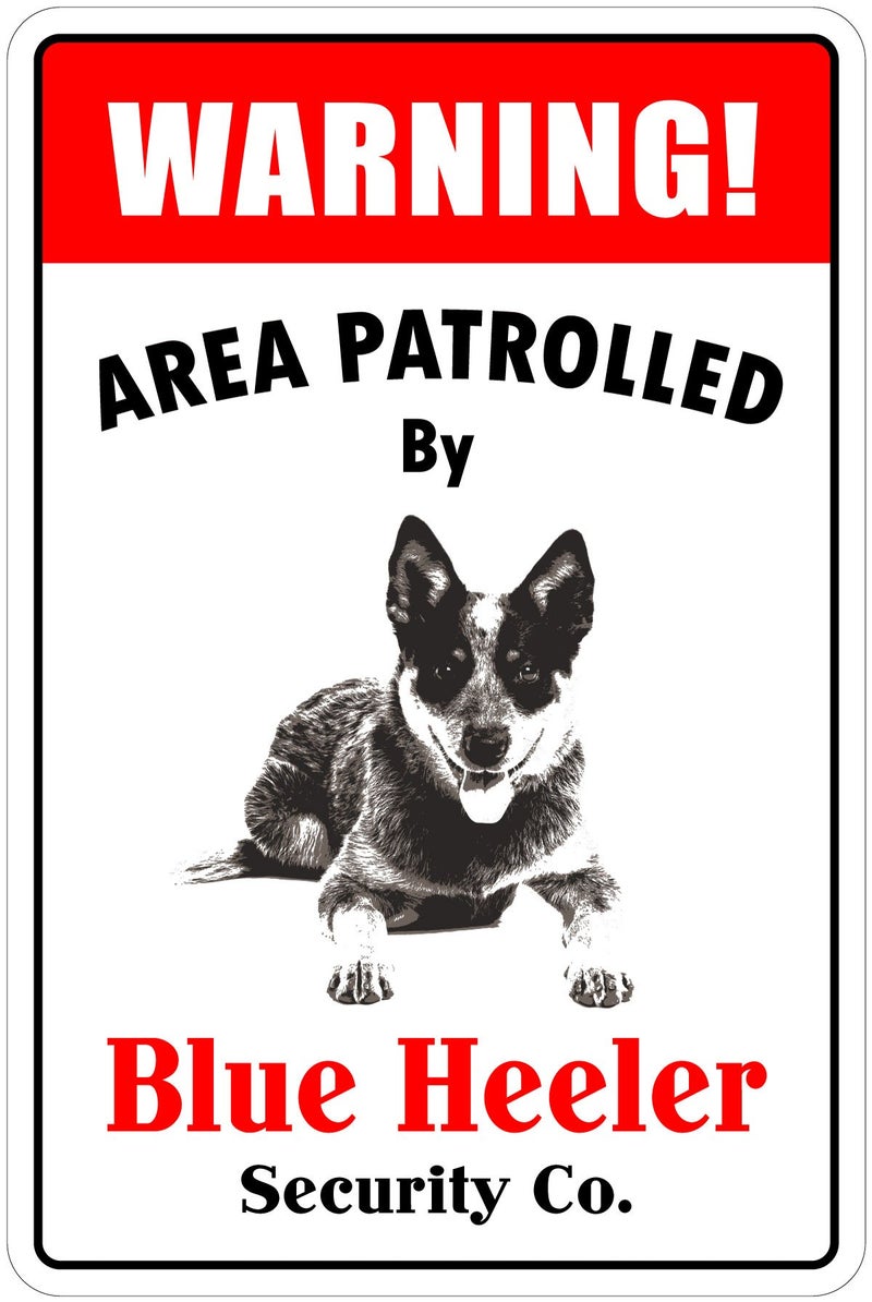 StickerPirate StickerPirate Warning Area Patrolled by Blue Heeler 8X12 Novelty Dog Sign 
