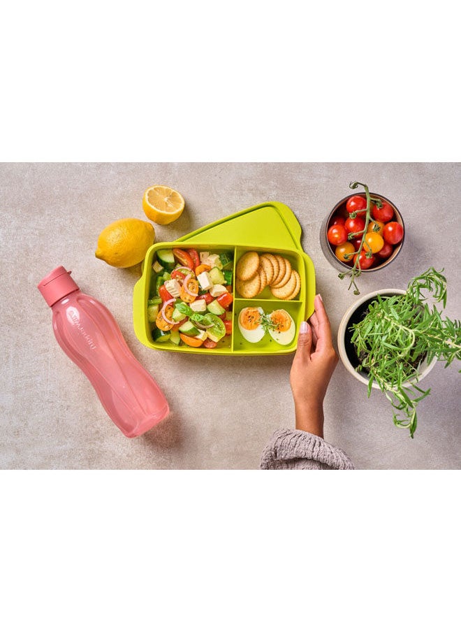 Eco Water Bottle - pzsku/Z4AF5E4D764B60BA8FC68Z/45/_/1715671489/c4cde0fa-f2e3-489b-867f-30b22151a843