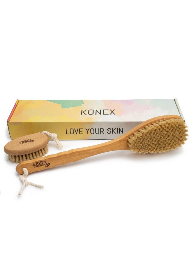 KONEX Dry/Wet Premium Brush Set, Cellulite And Stretch Mark Reduction, Skin Rejuvenation, Pore Opening, Exfoliating Body Brush Beechwood Handle With Boar Bristles Large 15" Plus Small Face Brush - Image 1